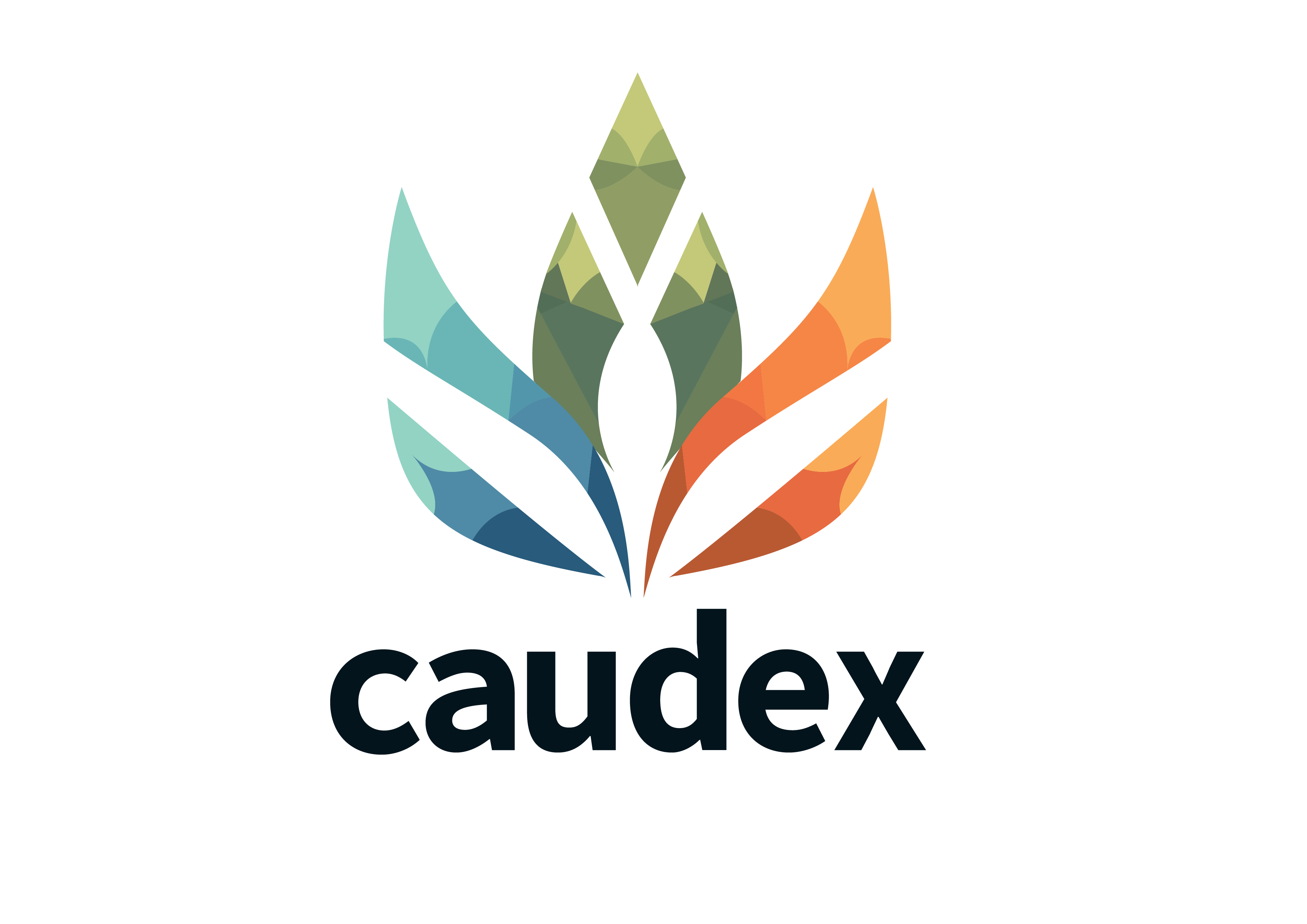Caudex